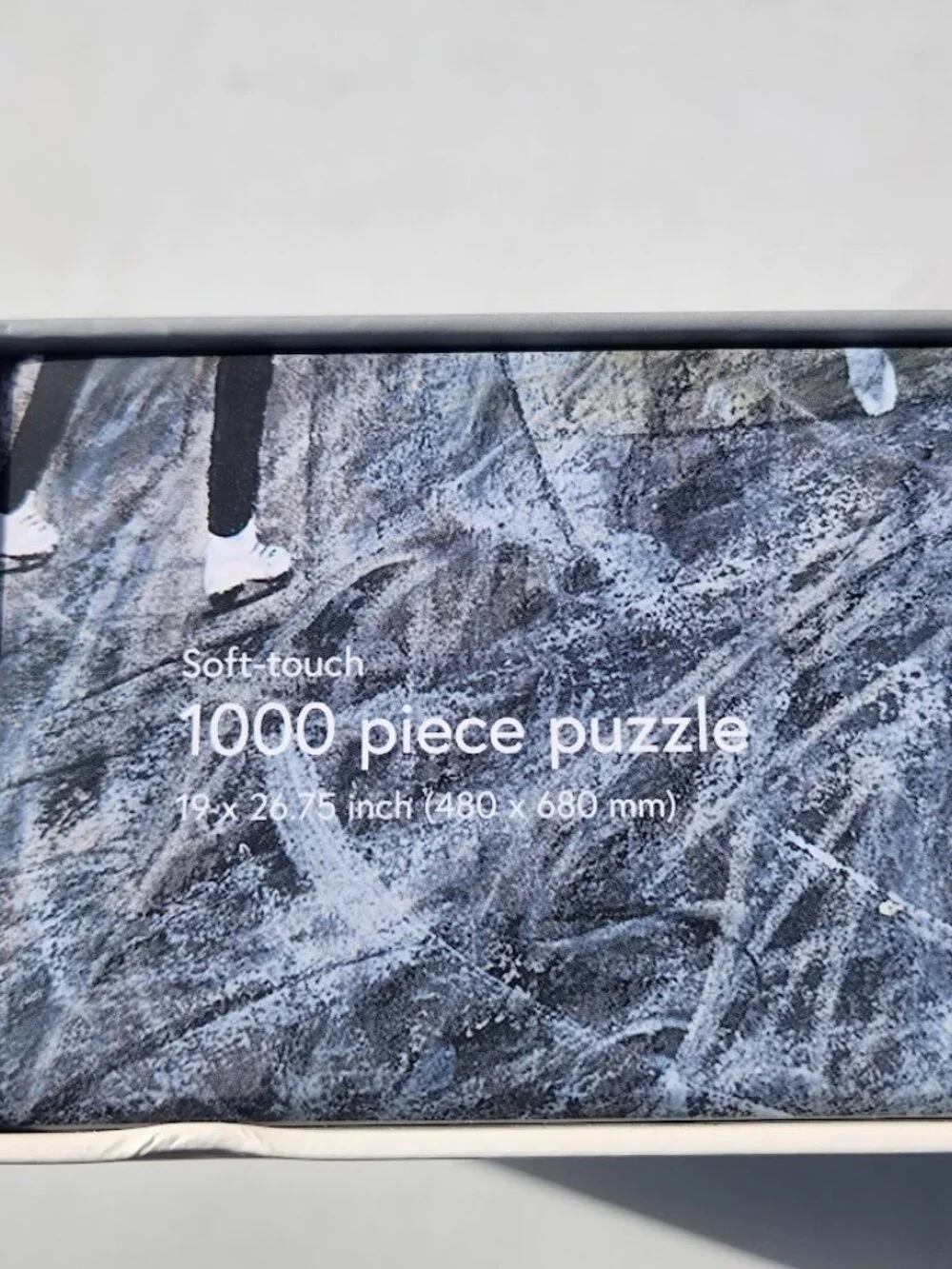 Ice Skating on the Canal 1000 Piece Puzzle Ordinary Habit Rachel Victoria Hillis